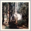 The Basin Scouts 1966 Kinglake Camp 6.jpg